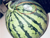 网红吃瓜768,揭秘娱乐圈幕后真相